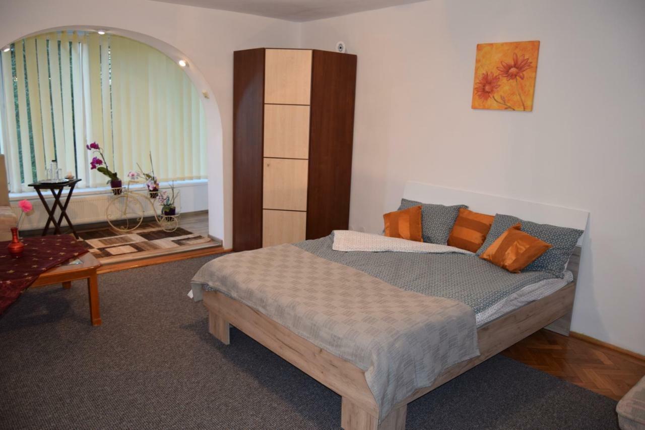 Central Appartment St'S Martin Church 布拉索夫 外观 照片