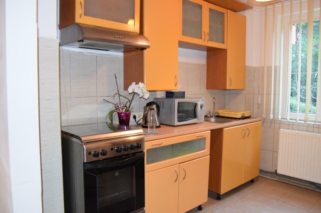 Central Appartment St'S Martin Church 布拉索夫 外观 照片